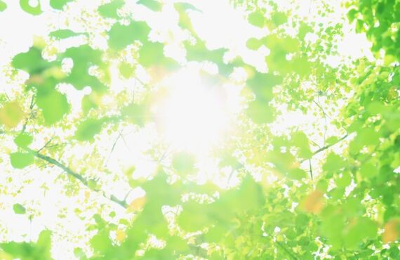 幅広い人脈と経験を生かした総合管理で安心をお届けします｜岡崎市の賃貸管理は有限会社二葉